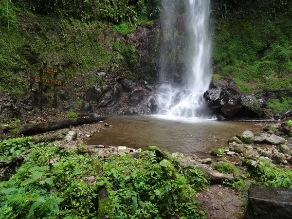 A waterfall in the forest above Boquete