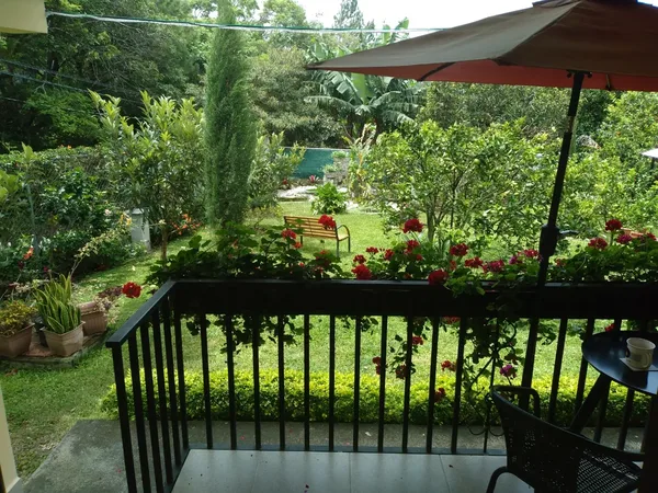 View from a private terrace over a garden with flowers